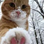 ヒメ日記 2025/12/27 16:05 投稿 篠原 MadameRest(マダムレスト)