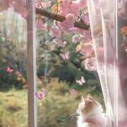 ヒメ日記 2026/01/16 13:04 投稿 篠原 MadameRest(マダムレスト)