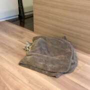 ヒメ日記 2026/01/18 12:55 投稿 篠原 MadameRest(マダムレスト)