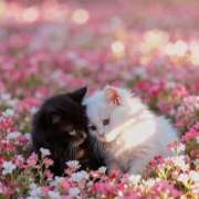 篠原 おはようございます☀️ MadameRest(マダムレスト)