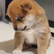 ヒメ日記 2026/01/23 12:46 投稿 篠原 MadameRest(マダムレスト)