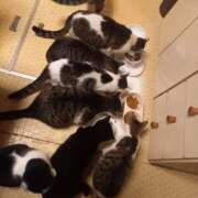 ヒメ日記 2026/01/27 04:32 投稿 篠原 MadameRest(マダムレスト)