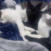 ヒメ日記 2026/01/27 13:52 投稿 篠原 MadameRest(マダムレスト)