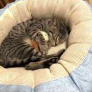 ヒメ日記 2026/01/29 12:55 投稿 篠原 MadameRest(マダムレスト)