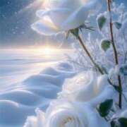 ヒメ日記 2026/01/30 15:49 投稿 篠原 MadameRest(マダムレスト)