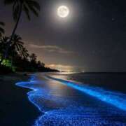 ヒメ日記 2026/02/03 03:41 投稿 篠原 MadameRest(マダムレスト)