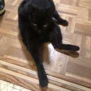 ヒメ日記 2026/02/03 15:29 投稿 篠原 MadameRest(マダムレスト)