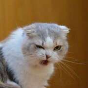 ヒメ日記 2026/02/04 17:40 投稿 篠原 MadameRest(マダムレスト)