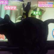 ヒメ日記 2026/02/06 07:37 投稿 篠原 MadameRest(マダムレスト)