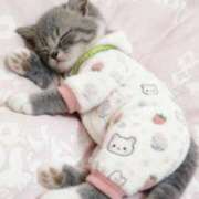 ヒメ日記 2026/02/07 16:25 投稿 篠原 MadameRest(マダムレスト)