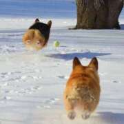 ヒメ日記 2026/02/09 13:07 投稿 篠原 MadameRest(マダムレスト)