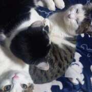 ヒメ日記 2026/02/14 13:04 投稿 篠原 MadameRest(マダムレスト)