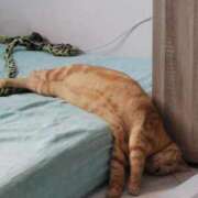 ヒメ日記 2026/02/16 13:18 投稿 篠原 MadameRest(マダムレスト)