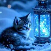 ヒメ日記 2026/02/16 18:06 投稿 篠原 MadameRest(マダムレスト)