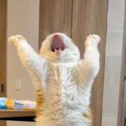 ヒメ日記 2026/02/17 13:47 投稿 篠原 MadameRest(マダムレスト)