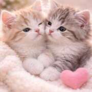 ヒメ日記 2026/02/18 12:48 投稿 篠原 MadameRest(マダムレスト)