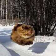 ヒメ日記 2026/02/21 13:15 投稿 篠原 MadameRest(マダムレスト)