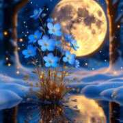 ヒメ日記 2026/02/28 16:23 投稿 篠原 MadameRest(マダムレスト)