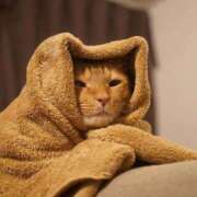 ヒメ日記 2026/03/02 17:10 投稿 篠原 MadameRest(マダムレスト)