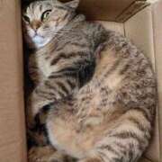 ヒメ日記 2026/03/04 12:47 投稿 篠原 MadameRest(マダムレスト)