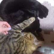 ヒメ日記 2026/03/04 16:28 投稿 篠原 MadameRest(マダムレスト)