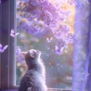 ヒメ日記 2026/03/05 13:04 投稿 篠原 MadameRest(マダムレスト)