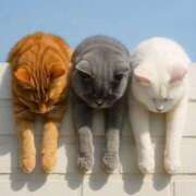 ヒメ日記 2026/03/05 16:51 投稿 篠原 MadameRest(マダムレスト)