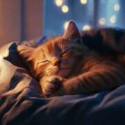 ヒメ日記 2026/03/10 06:37 投稿 篠原 MadameRest(マダムレスト)