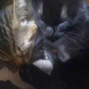 ヒメ日記 2026/03/10 15:43 投稿 篠原 MadameRest(マダムレスト)