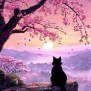 ヒメ日記 2026/03/13 16:23 投稿 篠原 MadameRest(マダムレスト)