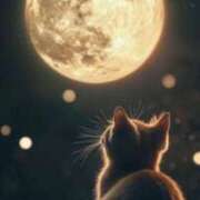 ヒメ日記 2026/03/14 03:55 投稿 篠原 MadameRest(マダムレスト)