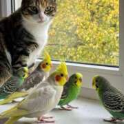 ヒメ日記 2026/03/16 13:02 投稿 篠原 MadameRest(マダムレスト)