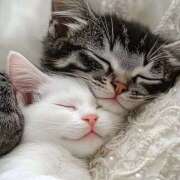 ヒメ日記 2026/03/16 15:43 投稿 篠原 MadameRest(マダムレスト)