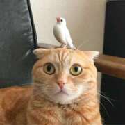 ヒメ日記 2026/03/22 12:27 投稿 篠原 MadameRest(マダムレスト)