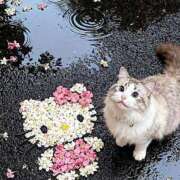 ヒメ日記 2026/03/25 15:27 投稿 篠原 MadameRest(マダムレスト)