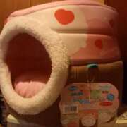 ヒメ日記 2026/03/25 22:17 投稿 篠原 MadameRest(マダムレスト)