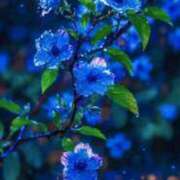 ヒメ日記 2026/03/28 05:47 投稿 篠原 MadameRest(マダムレスト)