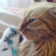 ヒメ日記 2026/03/28 17:52 投稿 篠原 MadameRest(マダムレスト)