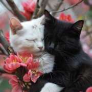 ヒメ日記 2026/03/30 16:14 投稿 篠原 MadameRest(マダムレスト)