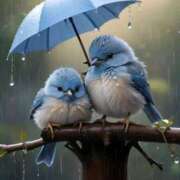 ヒメ日記 2026/03/31 16:16 投稿 篠原 MadameRest(マダムレスト)