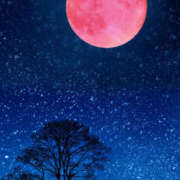 ヒメ日記 2026/04/02 23:55 投稿 篠原 MadameRest(マダムレスト)