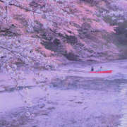 ヒメ日記 2026/04/06 12:54 投稿 篠原 MadameRest(マダムレスト)