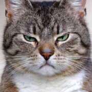 ヒメ日記 2026/04/07 13:17 投稿 篠原 MadameRest(マダムレスト)