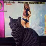 ヒメ日記 2026/04/08 01:56 投稿 篠原 MadameRest(マダムレスト)