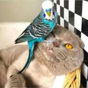 ヒメ日記 2026/04/13 16:07 投稿 篠原 MadameRest(マダムレスト)