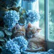 ヒメ日記 2026/04/24 12:50 投稿 篠原 MadameRest(マダムレスト)