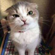 ヒメ日記 2026/05/13 11:59 投稿 篠原 MadameRest(マダムレスト)