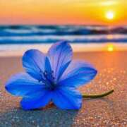 ヒメ日記 2026/05/17 15:55 投稿 篠原 MadameRest(マダムレスト)