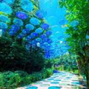 ヒメ日記 2026/05/31 13:08 投稿 篠原 MadameRest(マダムレスト)