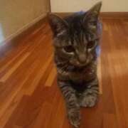 ヒメ日記 2026/08/12 13:16 投稿 篠原 MadameRest(マダムレスト)